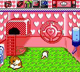 Hamster Paradise Screenshot 1